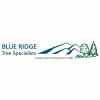 Blue Ridge Tree Specialists