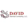 David Electric