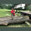 Holly Tree Service