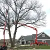 Arborcare