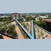 Living Roofs