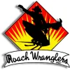 Roach Wranglers