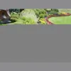 Risinger Landscaping Supplies & Excavating
