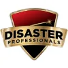 Disaster Professionals