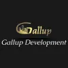 Gallup Development