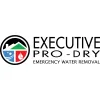 Executive Pro Dry