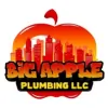 Big Apple Plumbing