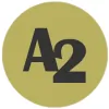 Advanced Architectures