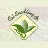 Cal Seedling
