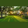 North Dallas Tree & Sod