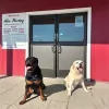 Atlas Flooring