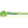 WinterGreen Synthetic Grass