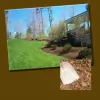 Plant Mulch