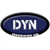 Dynseguridad
