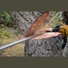Armetta's Tree Service