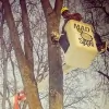 Madsaw Tree Service