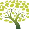 RR Landscape & Design
