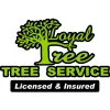 Loyal Tree Tree Services
