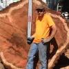 Tree-Mend-Us