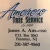Amoroso Tree Service