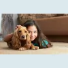 Carpet Cleaning Martinez