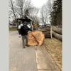 JM Tree