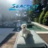 Seacrest Pools