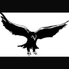 Hawk Construction & Home Improvement