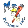 Mr Plumber