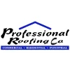Professional Roofing