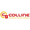 Colline Integrated Security Services