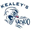 Kealeys Duct & Dryer Cleaning