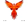 Phoenix Concrete Plus