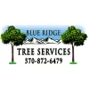 Blue Ridge Tree Services