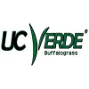 UC Verde Buffalo Grass
