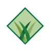 Arizona Luxury Lawns & Putting Greens