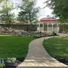 The Backyard Gardeners