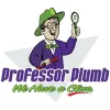 Professor Plumb
