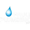 Pauli Plumbing