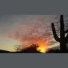 Desert Rain Landscape & Irrigation