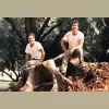Pioneer Tree Service