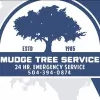Mudge Tree Service
