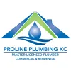 Proline Plumbing