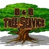 B & B Tree Service