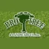 Pro Tree & Landscape