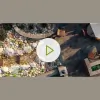 Reno Green Landscaping
