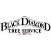Black Diamond Tree Service