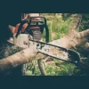 Atlantic Green Valley Tree Service