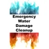 Simpli Smart Cleanup & Repair Of Clearwater FL