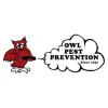 Owl Pest Prevention